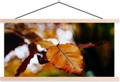 Porte-affiche avec affiche - Affiche scolaire - Beuk - Automne - Feuilles - 120x60 cm - Lattes vierges