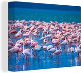 OneMillionCanvasses - Canvas schilderij - Flamingo - Water - Tropisch - Roze - Vogel - Schilderijen op canvas - Foto op canvas - 160x120 cm - Muurdecoratie
