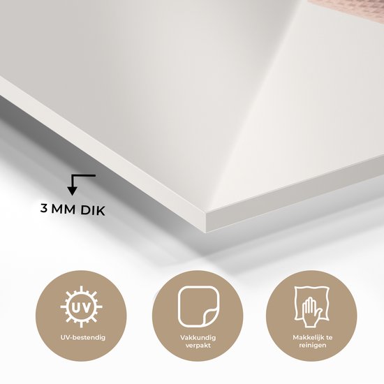 MuchoWow® Peinture sur verre 40x60 cm - Peinture sur verre acrylique - Glace - Perroquet - Rouge - Cornets de glace - Wit - Photo sur verre - Peintures