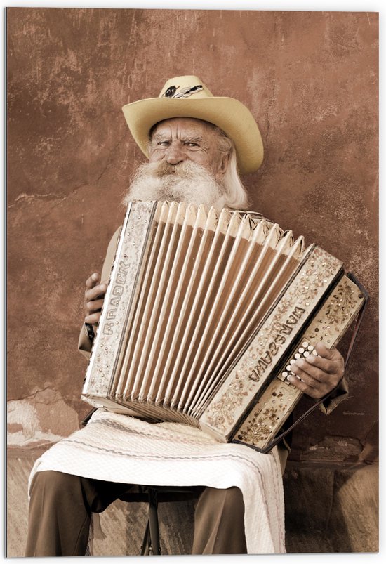 Dibond - Oude Man met Baard Spelend op Accordeon - 70x105 cm Foto op Aluminium (Wanddecoratie van metaal)