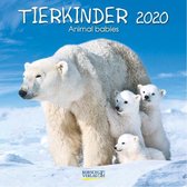 Tierkinder 2020