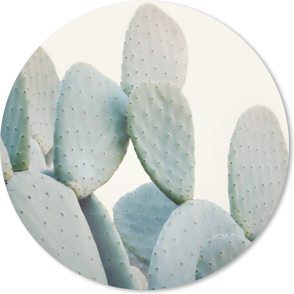 Muismat rond 20x20 cm - Mousepad Plant - Groen - Cactus - Natuur - Ronde muismatten