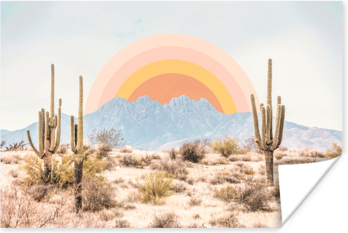 Poster Cactussen - Planten - Natuur - Zon - 30x20 cm