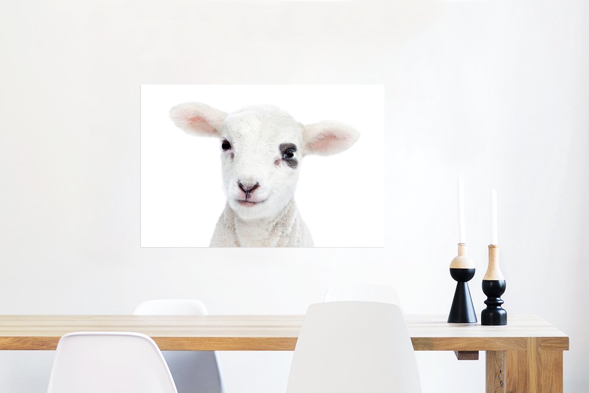 Poster Lam - Wit - Dieren - Natuur - 90x60 cm