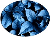 Dibond Ovaal - Struiken vol Blauwkleurige Planten - 80x60 cm Foto op Ovaal (Met Ophangsysteem)