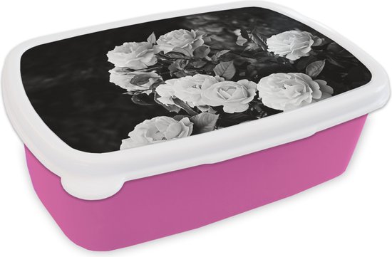 United Labels Sesamstraat Elmo Lunchbox, Boterhamdoos Met Scheidingswand Rood 664126916 United Labels Sesamstraat Elmo Lunchbox, Boterhamdoos Met Scheidingswand Rood 664126916