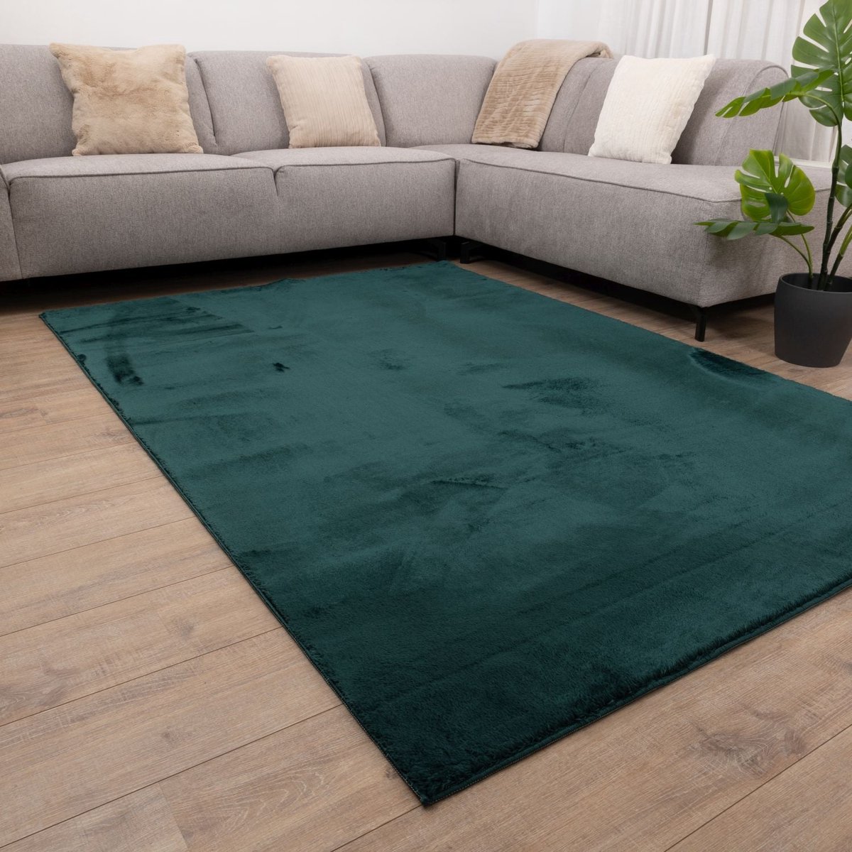 Groen Tapijt Wasbaar Laagpolig Vloerkleed met Anti Slip Koho Soft Comfort Wasbaar op 30° - 80x150cm- Modern - Woonkamer - Salon - Slaapkamer - Eetkamer
