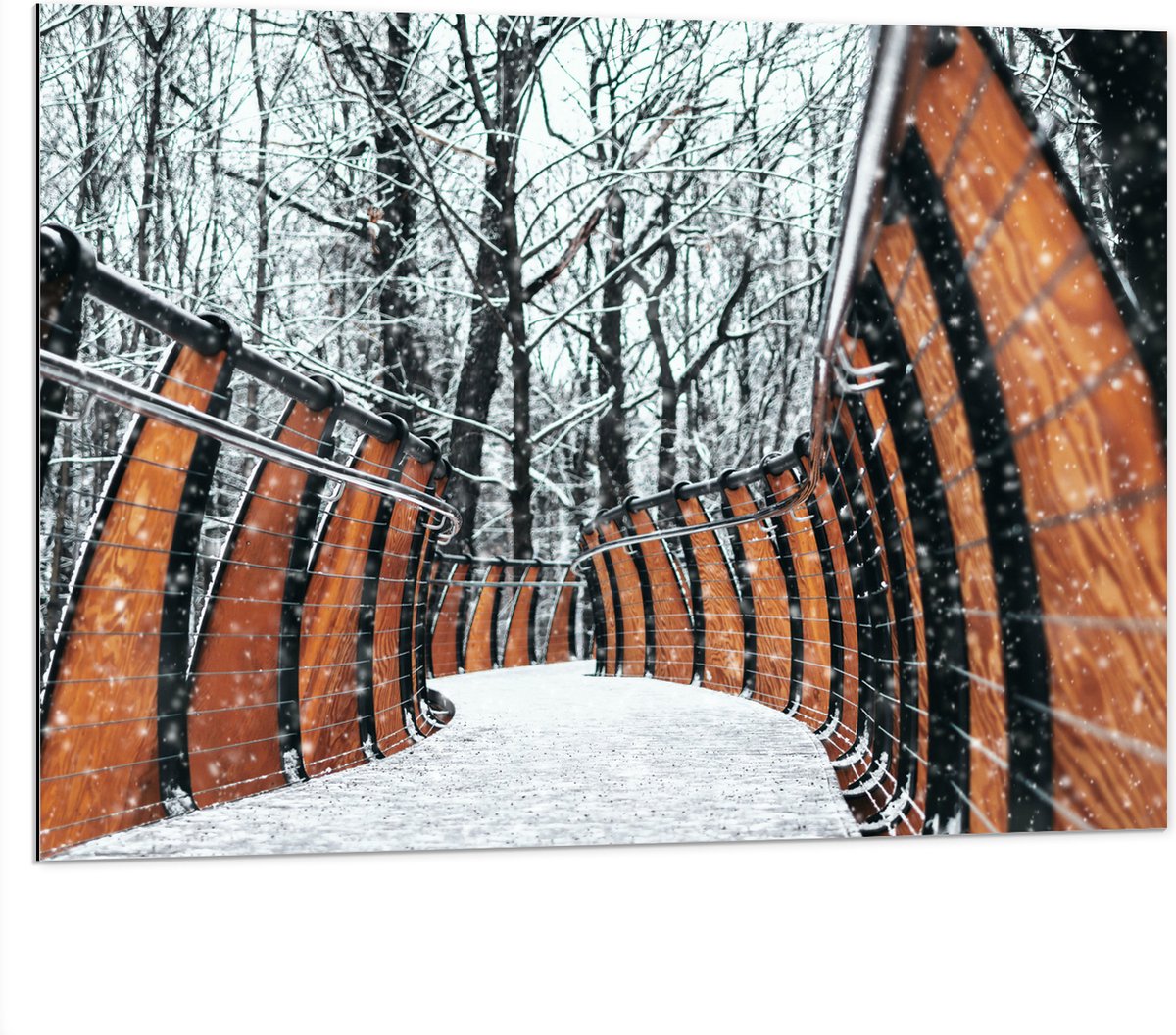 Dibond - Hekwerk in Ondergesneeuwd Bos - 100x75 cm Foto op Aluminium (Met Ophangsysteem)