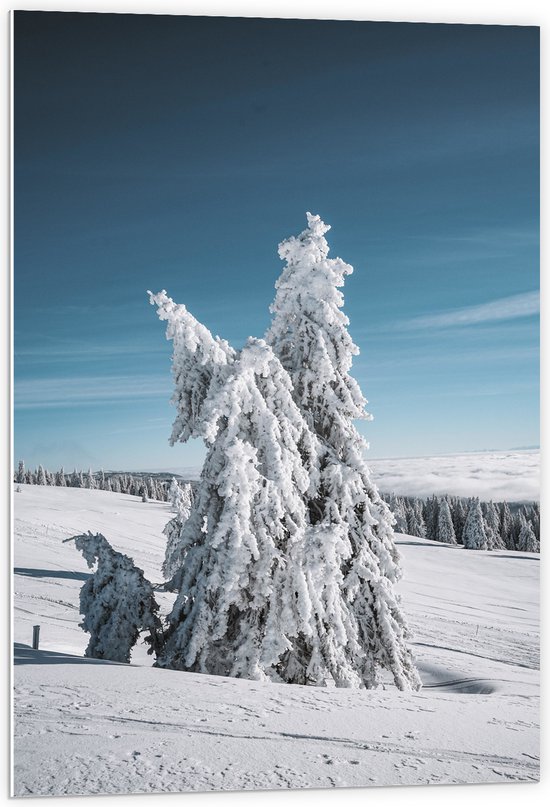 WallClassics - PVC Schuimplaat - Dikke Sneeuwlaag op Boom in Wit Landschap - 60x90 cm Foto op PVC Schuimplaat (Met Ophangsysteem)