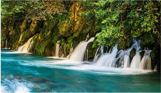Inductieplaat Beschermer - Kleine Groep Watervallen vanuit het Bos in