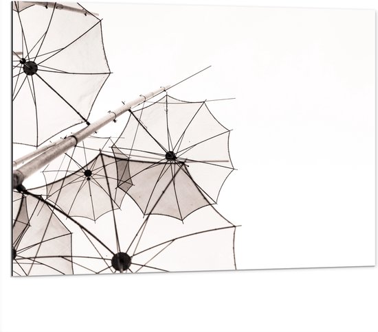 Dibond - Doorzichtige Paraplu Vormen tegen Witte Achtergrond - 100x75 cm Foto op Aluminium (Met Ophangsysteem)