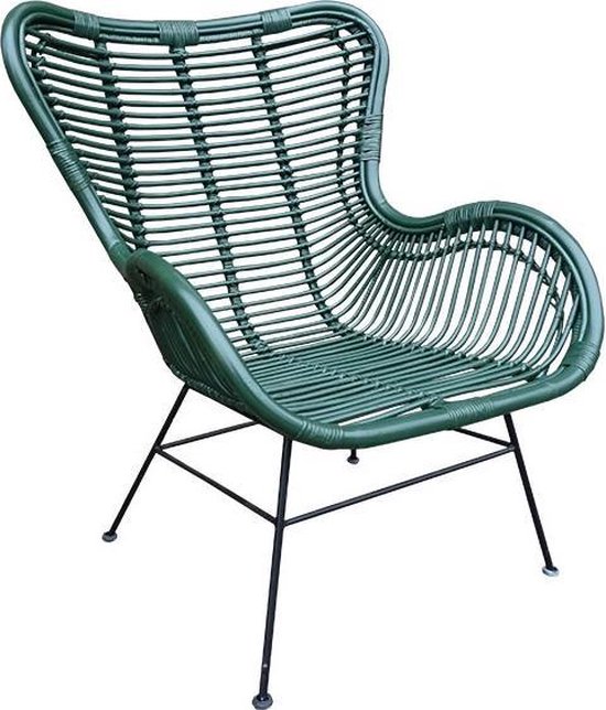 Groene Rotan Vlinderstoel - 70x76xH90 cm | bol.com