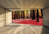 Fotobehang Window Forest Trees Leafs Red | XXL - 312cm x 219cm | 130g/m2 Vlies