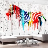 Fotobehang - Gekleurde Zebra  , multi kleur