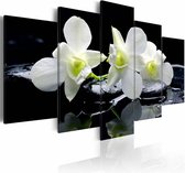 Schilderij - Melancholische Orchidee , zwart wit , 5 luik