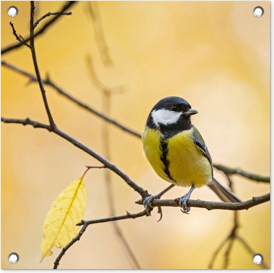 Koolmees - Tak - Vogel - Dieren - Tuindoek