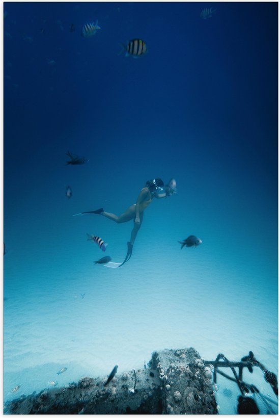 WallClassics - Poster Glanzend – Duiker Zwemmend met Vissen op Zeebodem - 70x105 cm Foto op Posterpapier met Glanzende Afwerking