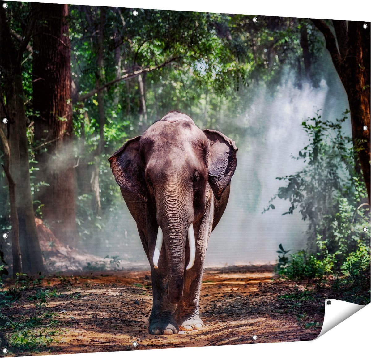 Gards Tuinposter Olifant in het Bos - 150x120 cm - Tuindoek - Tuindecoratie - Wanddecoratie buiten - Tuinschilderij Multikleur