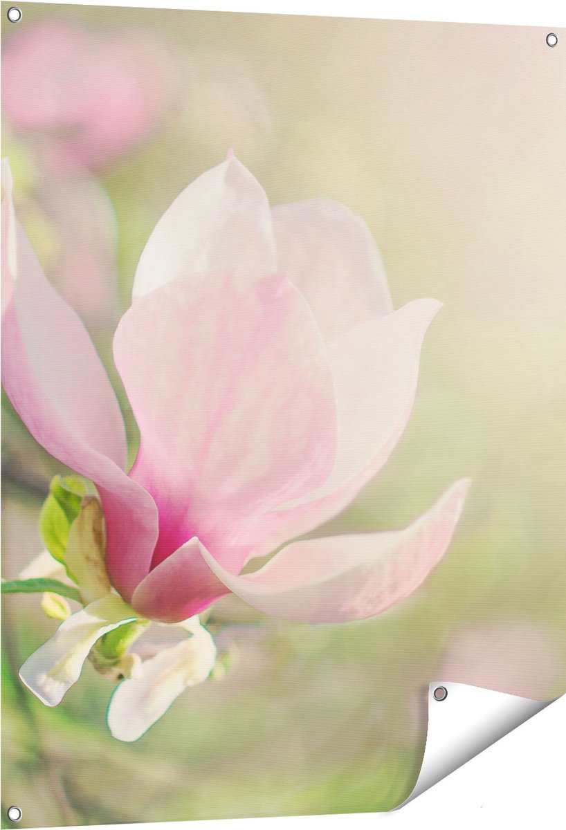 Gards Tuinposter Roze Magnolia Bloem - 80x100 cm - Tuindoek - Tuindecoratie - Wanddecoratie buiten - Tuinschilderij Multikleur