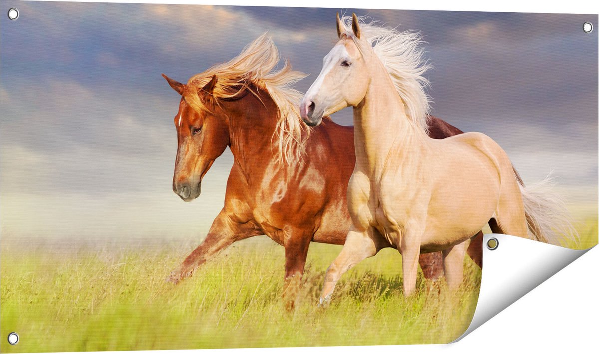 Gards Tuinposter Bruin en Wit Paard in de Wei - 100x50 cm - Tuindoek - Tuindecoratie - Wanddecoratie buiten - Tuinschilderij Multikleur