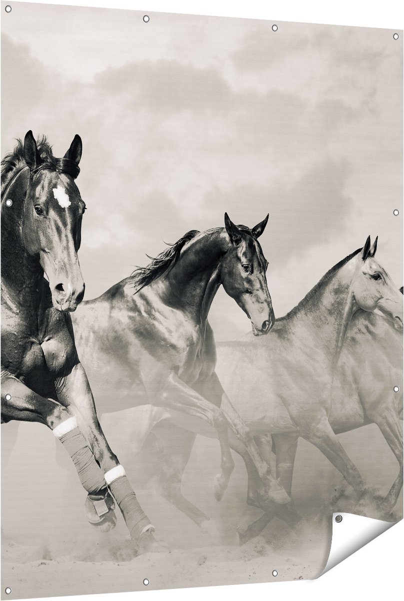 Gards Tuinposter Vier Paarden naast Elkaar - Zwart Wit - 120x150 cm - Tuindoek - Tuindecoratie - Wanddecoratie buiten - Tuinschilderij Multikleur