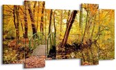 Peinture sur toile Nature | Jaune, marron, vert | 120x65 5 Liège