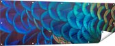 Gards Tuinposter Kleurrijke Pauw Veren van Dichtbij - 180x60 cm - Tuindoek - Tuindecoratie - Wanddecoratie buiten - Tuinschilderij