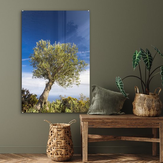 MuchoWow® Glasschilderij 80x120 cm - Schilderij acrylglas - Een olijfboom onder een blauwe lucht - Foto op glas - Schilderijen