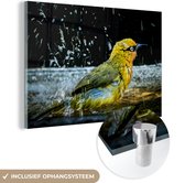 MuchoWow® Glasschilderij 90x60 cm - Schilderij acrylglas - Vogel - Vogelbad - Water - Foto op glas - Schilderijen