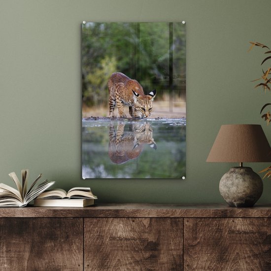 Peinture sur Verre - Lynx - Animal - Water - Buvant - 40x60 cm - Peintures sur Verre Peintures - Photo sur Glas