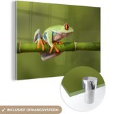 MuchoWow® Glasschilderij 90x60 cm - Schilderij acrylglas - Roodoogmakikikker op bamboe - Foto op glas - Schilderijen