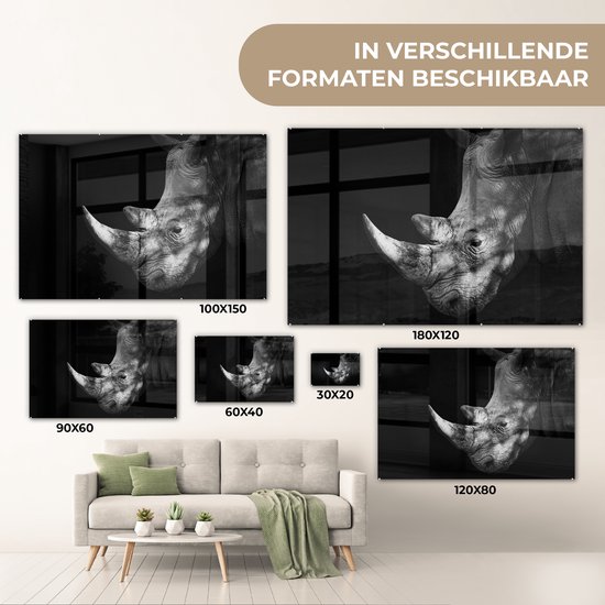 Peinture sur Verre - Rhinocéros - Animal - Lumière - 120x80 cm - Peintures Plexiglas