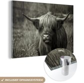 Peinture sur Verre - Scottish Highlander - Portrait - Zwart - Wit - 90x60 cm - Peintures sur Verre Peintures - Photo sur Glas