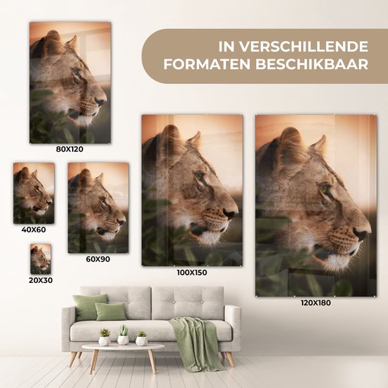 Peinture sur Verre - Lion - Jungle - Oranje - 100x150 cm - Peintures sur Verre Peintures - Photo sur Glas
