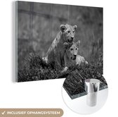 MuchoWow® Glasschilderij 60x40 cm - Schilderij acrylglas - Twee welpen spelen en brullen in gras - zwart wit - Foto op glas - Schilderijen