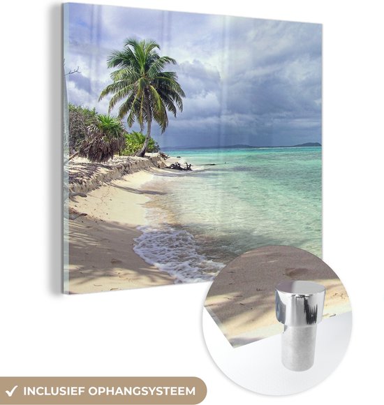 MuchoWow® Glasschilderij 20x20 cm - Schilderij acrylglas - Een kleine palmboom met turquoise groenwater van de Baai-eilanden - Foto op glas - Schilderijen