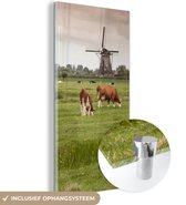 MuchoWow® Glasschilderij 80x160 cm - Schilderij acrylglas - Koeien - Molen - Nederland - Foto op glas - Schilderijen