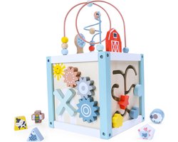 Ecotoys houten activiteiten kubus sorteerder - Educatief speelgoed voor handvaardigheid ontwikkeling - Geschikt vanaf 18 maanden - 22 x 22 x 22 cm - Montessori speelgoed - Hout