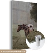 MuchoWow® Glasschilderij 40x60 cm - Schilderij acrylglas - Paarden - Natuur - Mist - Foto op glas - Schilderijen