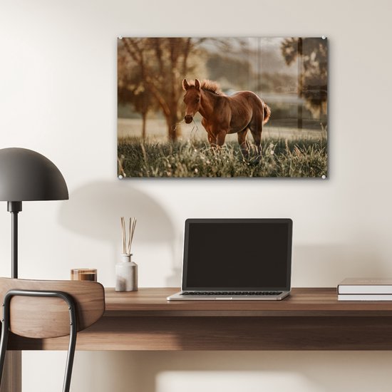 MuchoWow® Peinture sur verre - Cheval - Lumière - Prairie - 60x40 cm - Peintures sur verre acrylique - Photo sur Glas