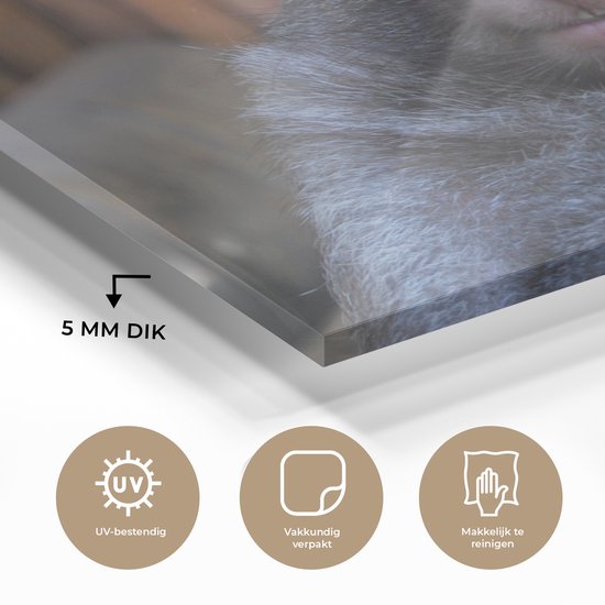 MuchoWow® Peinture sur verre 120x80 cm - Peinture sur verre acrylique - Gros plan wombat endormi - Photo sur verre - Peintures