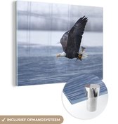 MuchoWow® Glasschilderij 80x60 cm - Schilderij acrylglas - Vogel - Amerika - Amerikaanse Zeearend - Witkop - Adelaar - Foto op glas - Schilderijen