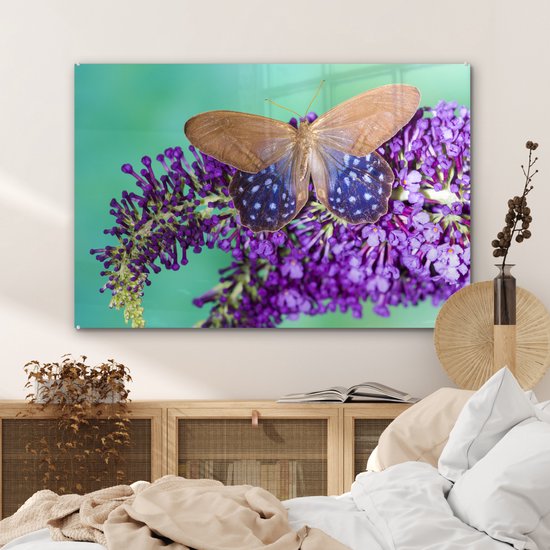 Papillon exotique sur le buisson de papillons Plexiglas 90x60 cm - Tirage photo sur Glas (décoration murale en plexiglas)