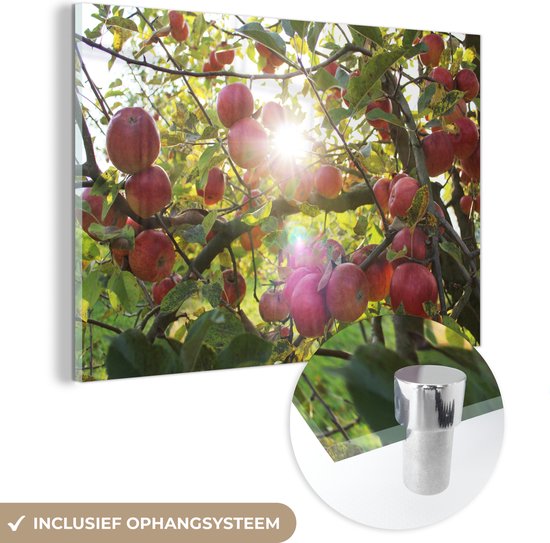 Glasschilderij - Appel - Fruit - Acrylglas Schilderijen - Foto op Glas