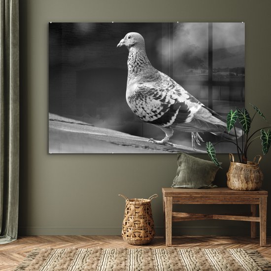 MuchoWow® Peinture sur Verre - Pigeon sur un toit - noir et blanc - 180x120 cm - Peintures sur Verre Acrylique - Photo sur Glas
