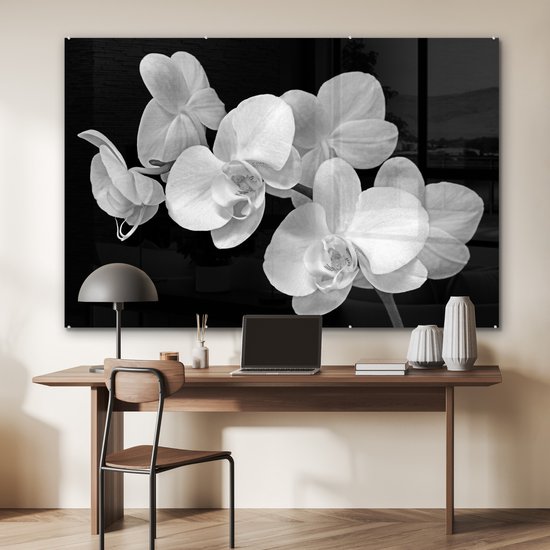MuchoWow® Peinture sur Verre - Un gros plan d'orchidées sur fond noir - noir et blanc - 150x100 cm - Peintures sur Verre Acrylique - Photo sur Glas