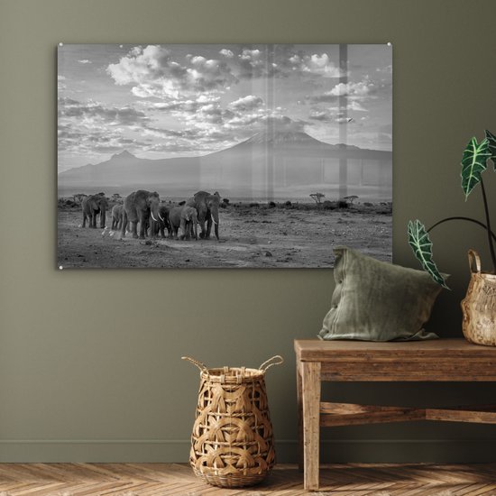MuchoWow® Glasschilderij 120x80 cm - Schilderij acrylglas - Trekkende olifanten - zwart wit - Foto op glas - Schilderijen