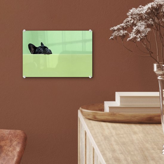 ® Glasschilderij 30x20 cm - Schilderij acrylglas - Franse Bulldog - Groen - Zwart - Foto op glas - Muurdecoratie woonkamer - Wanddecoratie slaapkamer - Schilderijen
