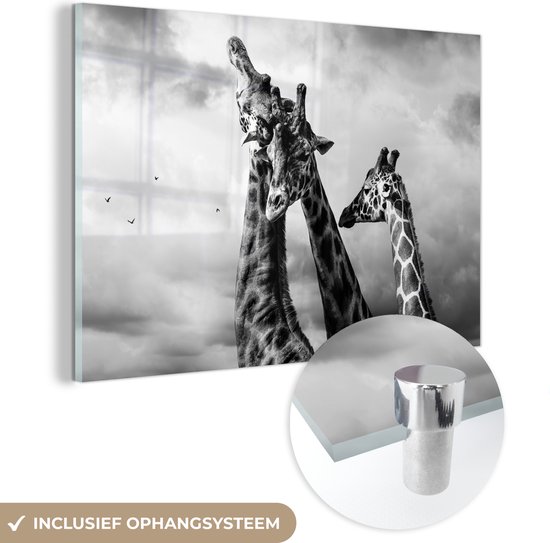 MuchoWow® Glasschilderij 180x120 cm - Schilderij acrylglas - Giraffen - Zwart - Wit - Foto op glas - Schilderijen