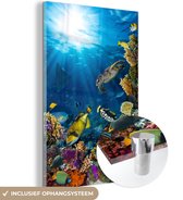 MuchoWow® Glasschilderij 40x60 cm - Schilderij acrylglas - Zeedieren - Vis - Water - Foto op glas - Schilderijen
